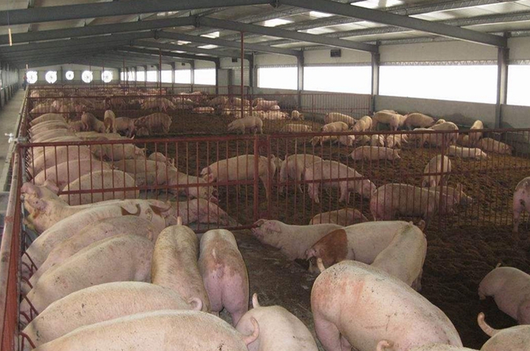 養(yǎng)殖場適合用紫外線消毒燈嗎？