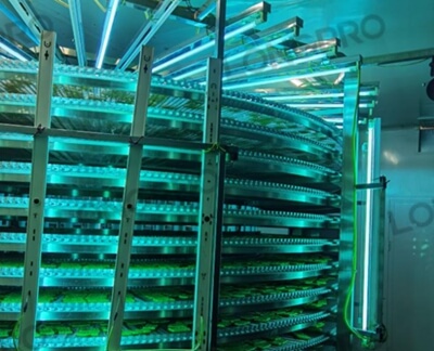 食品廠防爆紫外線殺菌燈：保障食品生產(chǎn)環(huán)境安全的利器！