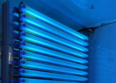 如何通過UV紫外光照實(shí)驗(yàn)箱構(gòu)建動物皮膚光老化模型？