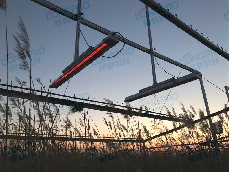 植物增溫 (2)_副本.jpg 植物增溫 (2)_副本.jpg