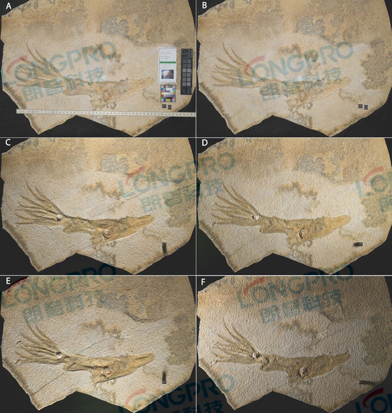 微信圖片_20190928163831_副本.jpg 微信圖片_20190928163831_副本.jpg