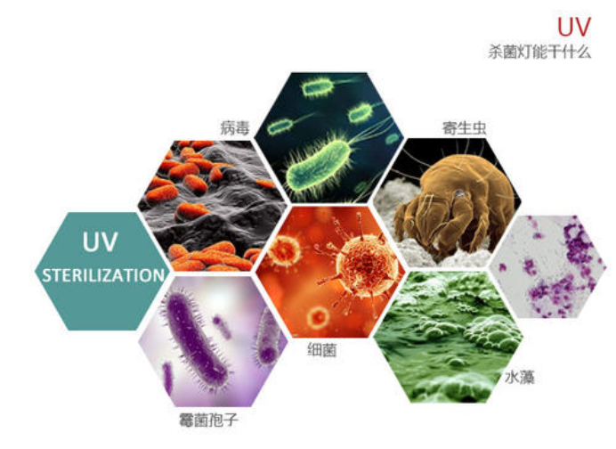 1596270411.jpg 1596270411.jpg